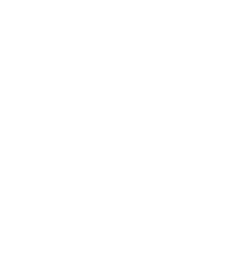 Tumelo Attorneys Inc